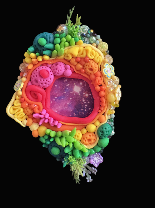 space portal magnet