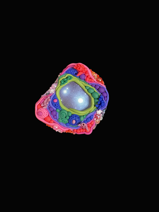 space portal magnet